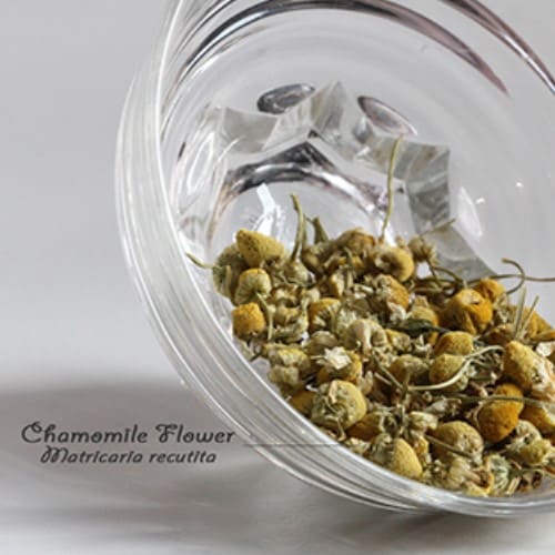 Chamomile Flower 德國洋甘菊