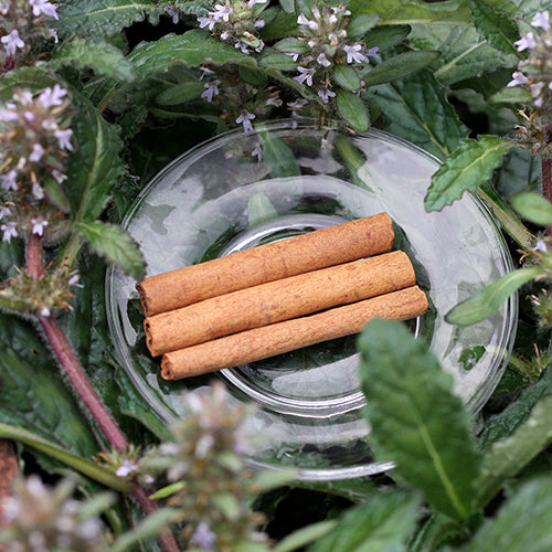 Cinnamon Sticks(Ceylon)