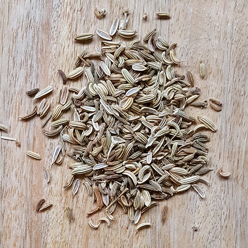 Fennel Seed 茴香子