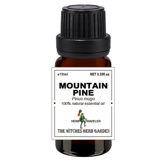 Mountain pine 歐洲山松(矮松)精油